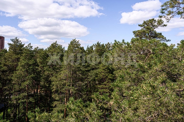 
  Продается 2-комн. квартира, 57.7 м², ЖК Речкуновский, дом 10
. Фото 7.