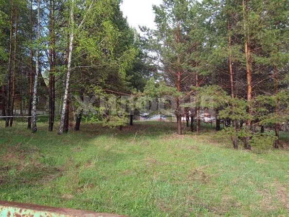 
  Продается земельный участок, 15.22 соток, село Морозово
. Фото 1.