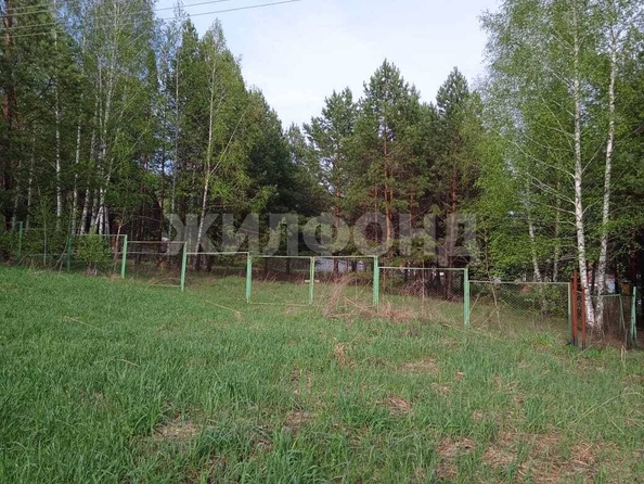 
  Продается земельный участок, 15.22 соток, село Морозово
. Фото 2.