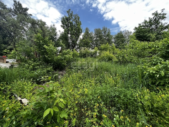 
  Продается дача, 15 м², СНТ Культура
. Фото 4.
