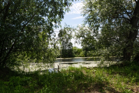 
  Продается дом, 110 м², дачный поселок Кудряшовский
. Фото 13.
