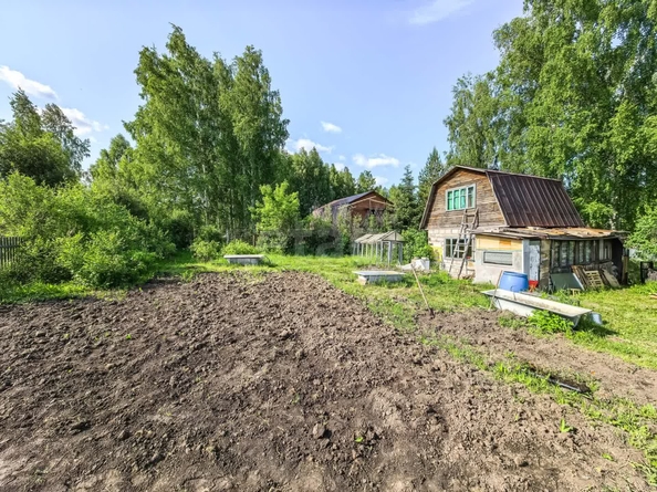 
  Продается дача, 50 м², Новосибирск
. Фото 16.