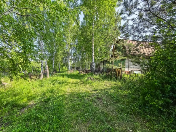
  Продается дача, 50 м², Новосибирск
. Фото 18.