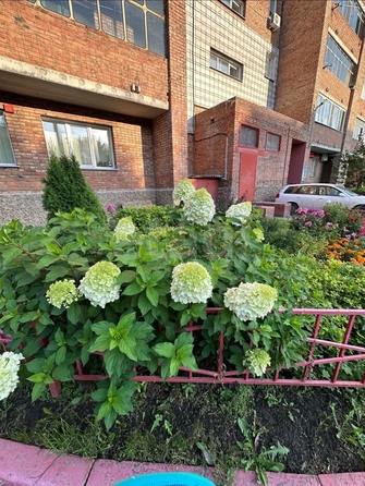 
  Продается 2-комн. квартира, 50.6 м², Большевистская ул, д. 145
. Фото 1.