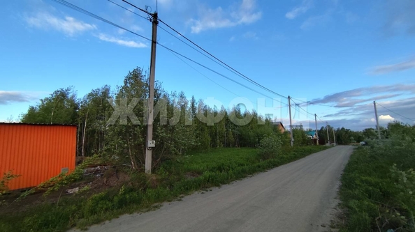 
  Продается земельный участок, 10 соток, поселок Октябрьский
. Фото 7.