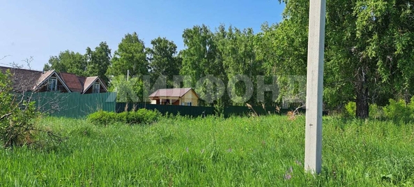 
  Продается дом, 30 м², село Кирза
. Фото 9.