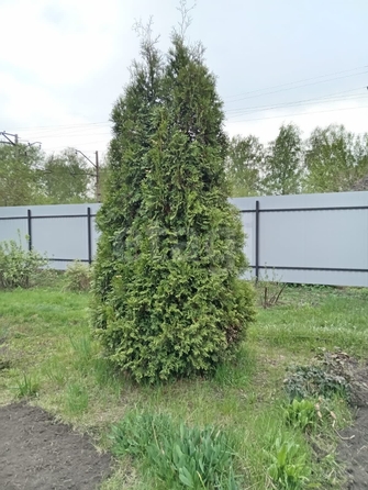 
  Продается дача, 36 м², СНТ Новая Сибирь
. Фото 24.