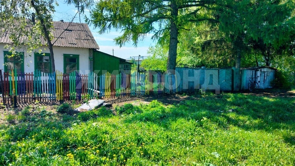 
  Продается дом, 40 м², деревня Березовка
. Фото 7.