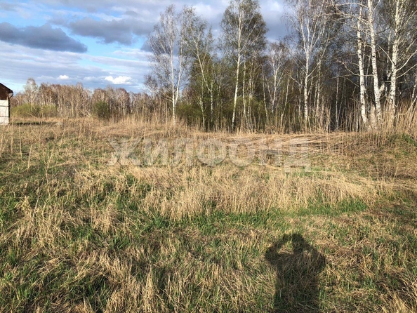 
  Продается земельный участок, 13 соток, коттеджный поселок Сердце Сибири
. Фото 14.