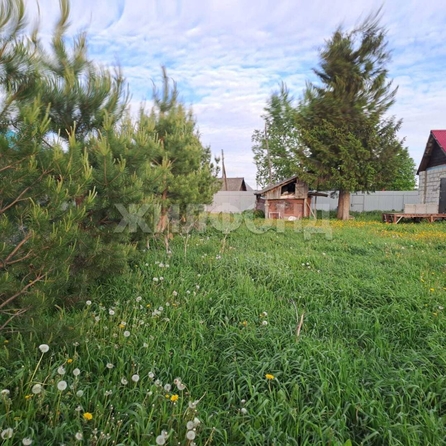 
  Продается дом, 47.8 м², село Усть-Каменка
. Фото 5.