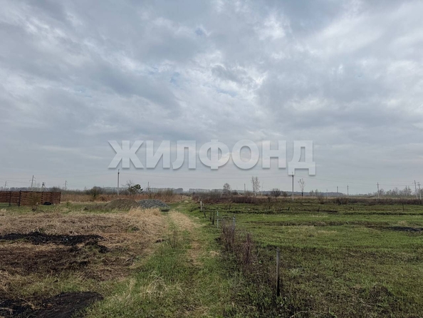 
  Продается земельный участок, 12 соток, село Криводановка
. Фото 3.