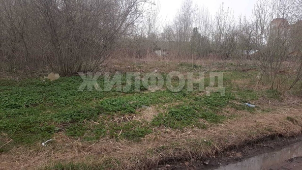 
  Продается земельный участок, 648 соток, садовое товарищество Комета-Берёзка
. Фото 2.