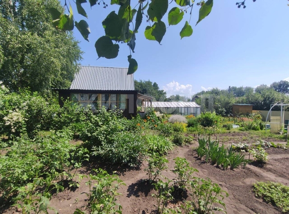 
  Продается дача, 40 м², садовое товарищество Солнечный (Морской сельсовет)
. Фото 6.