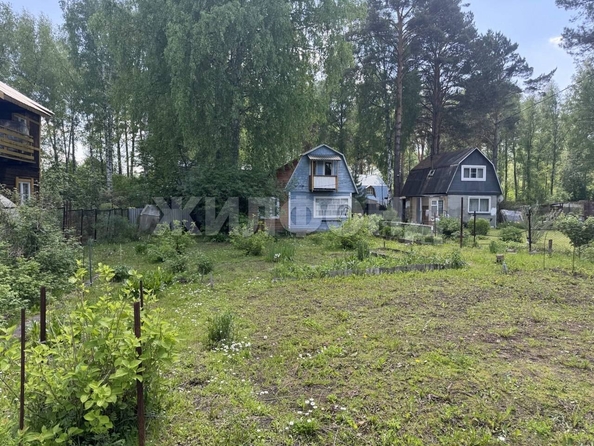 
  Продается дача, 50 м², СНТ Берёзка-2 (Березовский сельсовет)
. Фото 2.