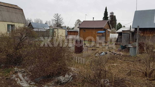 
  Продается дача, 80 м², СНТ Дружба (Березовский сельсовет)
. Фото 10.