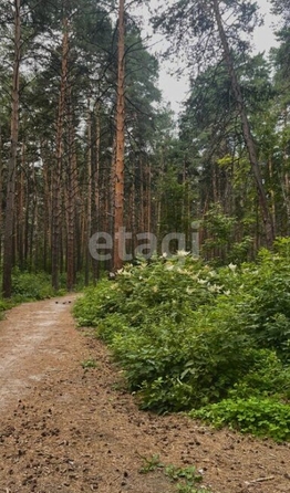 
  Продается 2-комн. квартира, 42 м², Вилюйская ул, д. 1
. Фото 19.