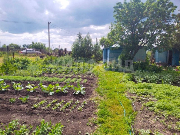 
  Продается земельный участок, 9 соток, село Криводановка
. Фото 6.