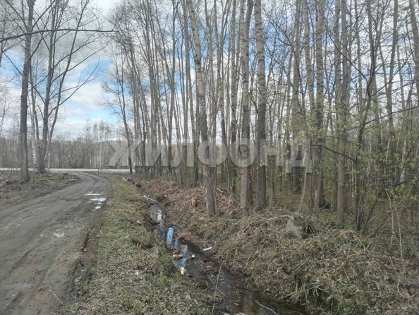 
  Продается земельный участок, 9 соток, Новосибирск
. Фото 1.