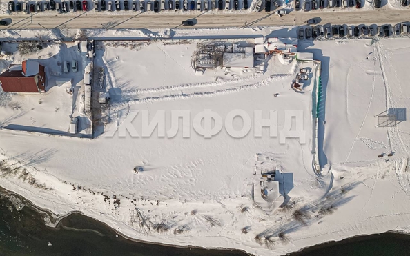 
  Продается земельный участок, 55 соток, дачный поселок Кудряшовский
. Фото 7.