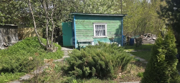 
  Продается дача, 32 м², СНТ Электрон (Кубовинский сельсовет)
. Фото 4.