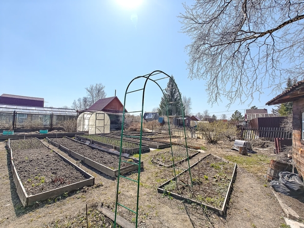 
  Продается дача, 40 м², село Каменка
. Фото 8.