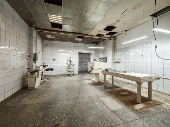 
  Сдается готовый бизнес, 1690 м², Набережная ул, д. 1а/1
. Фото 17.