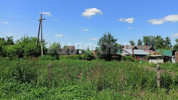 
  Продается земельный участок, 6 соток, село Боровое
. Фото 1.