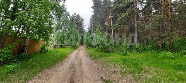 
  Продается земельный участок, 10 соток, село Нижнекаменка
. Фото 3.