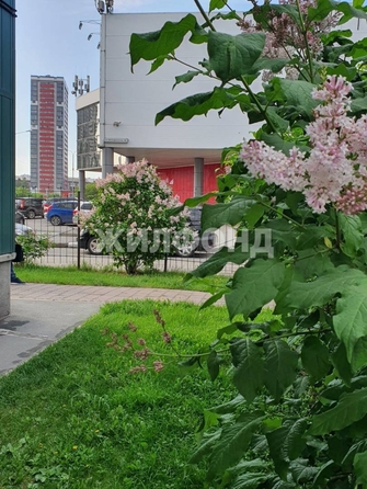 
  Продается 2-комн. квартира, 58.4 м², Ипподромская ул, д. 44
. Фото 21.