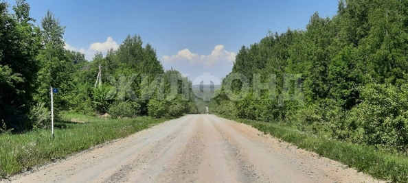 
  Продается земельный участок, 48 соток, ДНТ Синегорье
. Фото 3.