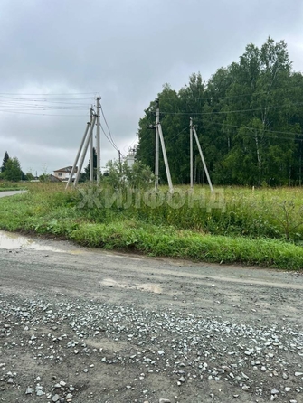 
  Продается земельный участок, 100 соток, село Льниха
. Фото 9.