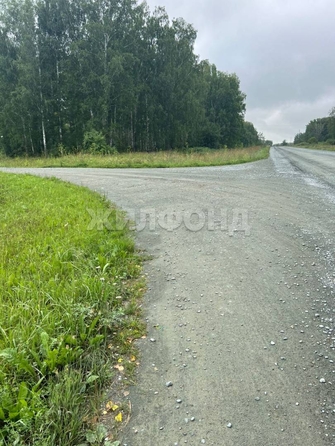 
  Продается земельный участок, 100 соток, село Льниха
. Фото 10.