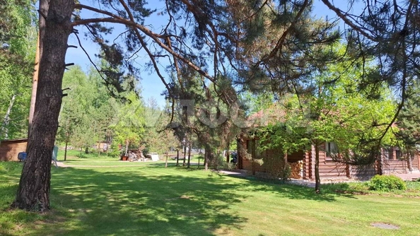 
  Продается дача, 150 м², село Кубовая
. Фото 2.