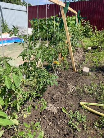 
  Продам дачу, 49.8 м², Новосибирск
. Фото 10.