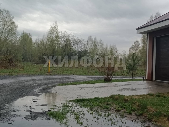 
  Продается земельный участок 10 соток. Фото 7.