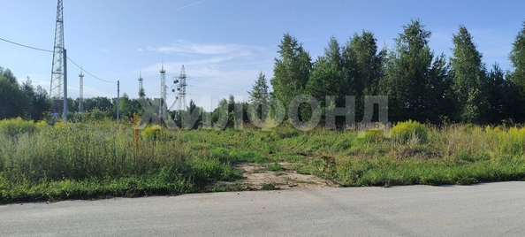 
  Продается земельный участок, 19.06 соток, село Морозово
. Фото 5.