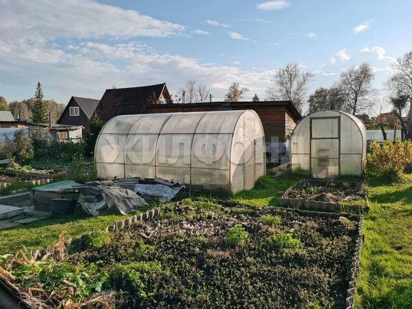 
  Продается дача, 43 м², село Каменка
. Фото 11.