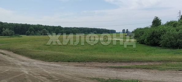 
  Продается земельный участок, 10 соток, село Алексеевка
. Фото 2.
