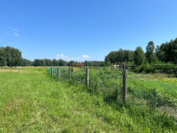 
  Продается земельный участок, 450 соток, ДНТ Шуманка
. Фото 20.