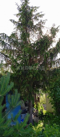 
  Продается дача, 20 м², село Криводановка
. Фото 1.