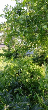 
  Продается дача, 20 м², село Криводановка
. Фото 6.