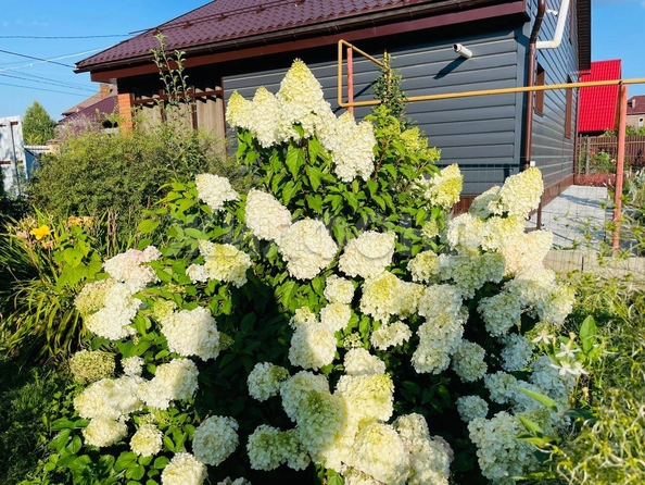 
  Продается дом, 150 м², Новосибирск
. Фото 33.