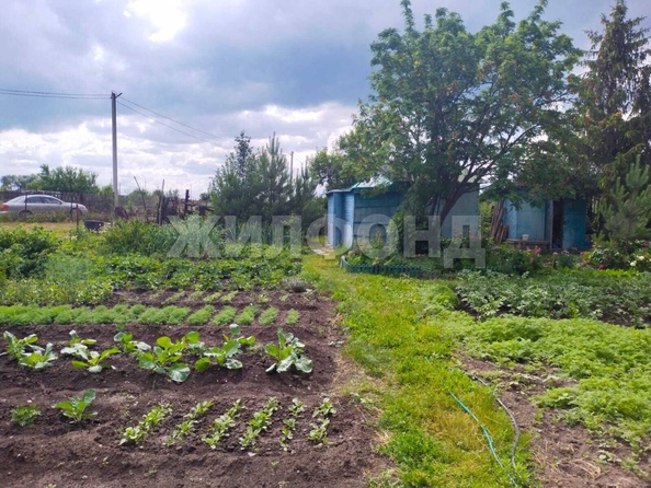 
  Продается земельный участок, 9 соток, село Криводановка
. Фото 1.