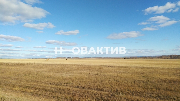 
  Продается земельный участок, 970 соток, село Новопичугово
. Фото 3.