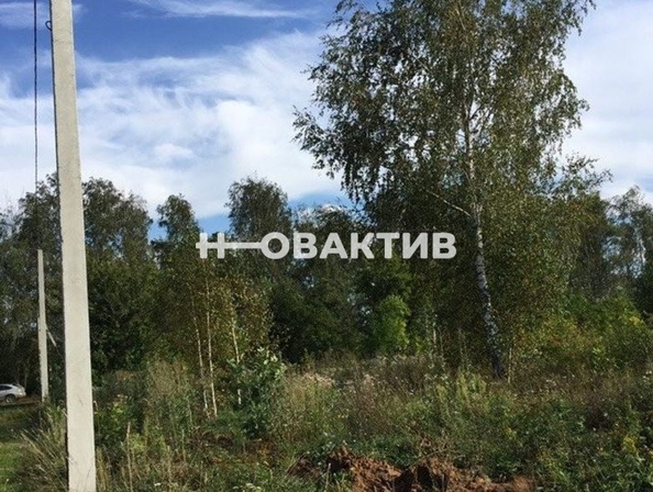 
  Продается земельный участок, 270 соток, коттеджный поселок Клевер
. Фото 6.