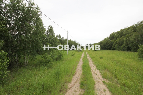 
  Продается земельный участок, 11.08 соток, посёлок Новониколаевский
. Фото 6.