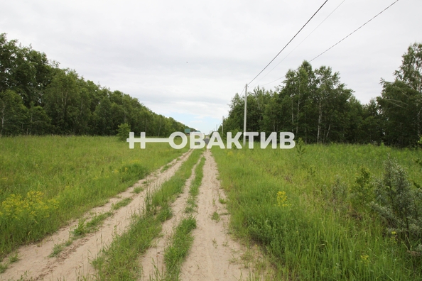 
  Продается земельный участок, 11.08 соток, посёлок Новониколаевский
. Фото 13.