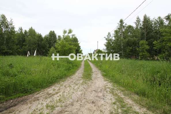 
  Продается земельный участок, 11.08 соток, посёлок Новониколаевский
. Фото 20.