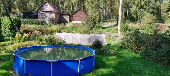 
  Продам дачу, 50 м², Новосибирск
. Фото 10.