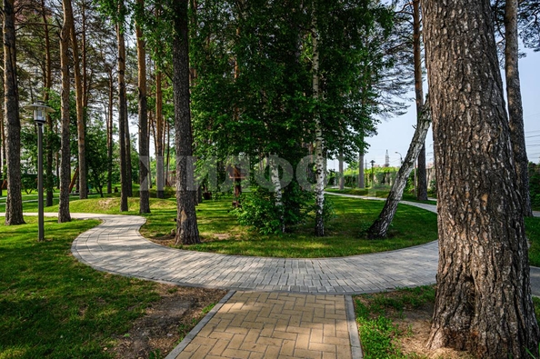 
  Продается студия, 31.3 м², ЖК Чкалов, дом 3
. Фото 12.
